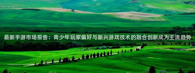 欧博娱乐4招商：最新手游市场报告：青少年玩家偏好与新兴游戏技