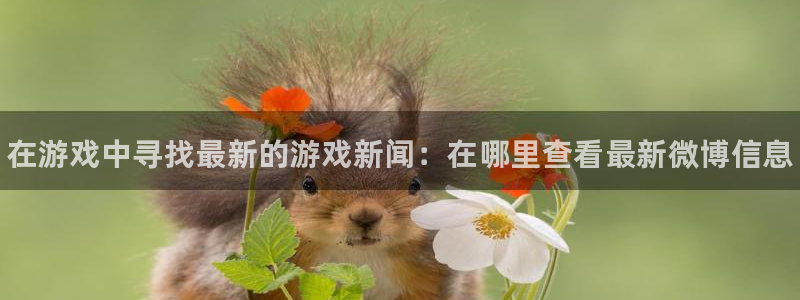 欧博娱乐app下载地址：在游戏中寻找最新的游戏新闻：在哪里查