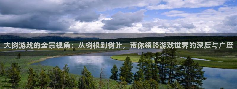 欧博娱乐测速：大树游戏的全景视角：从树根到树叶，带你领略游戏