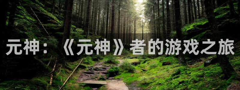 欧博娱乐平台官网注册：元神：《元神》者的游戏之旅