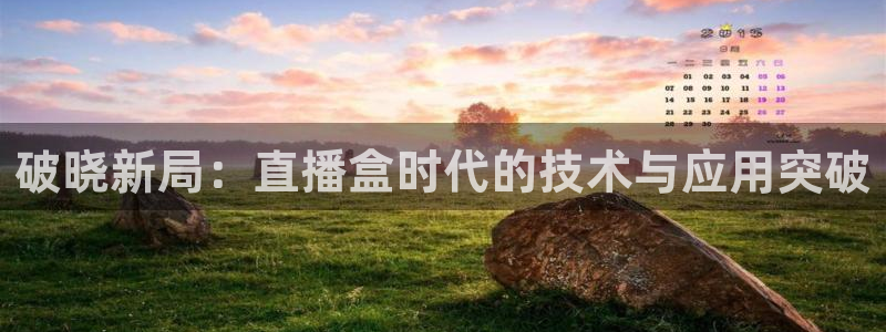 51视频在线直播nba