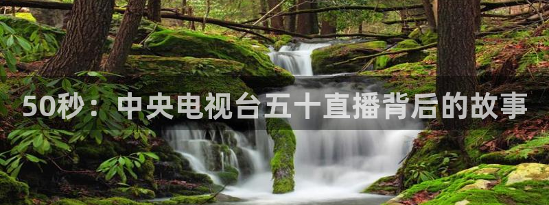 51视频在线直播nba