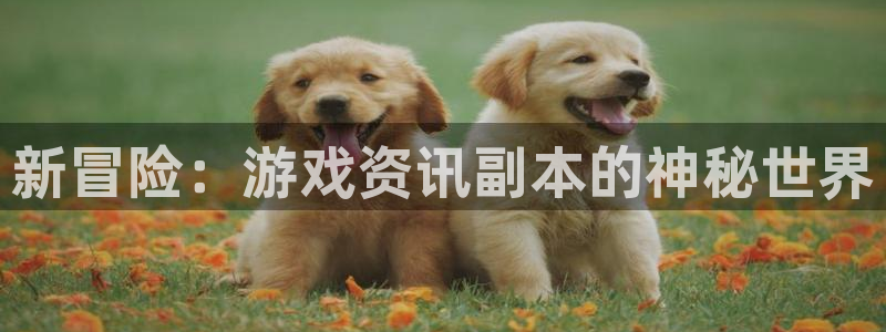 欧博官网首页
