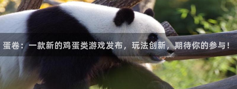 欧博官网手机app下载