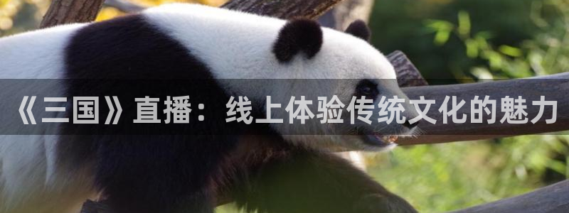 51视频在线直播nba：《三国》直播：线上体验传统文化的魅力