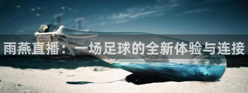 51视频在线直播nba：雨燕直播：一场足球的全新体验与连接