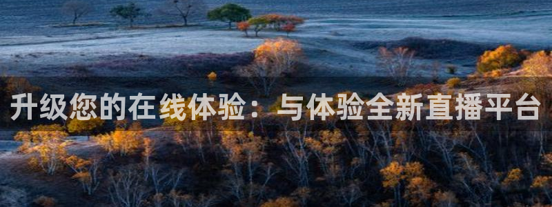 51视频在线直播nba：升级您的在线体验：与体验全新直播平台
